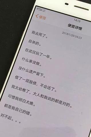罗正宇的遗书