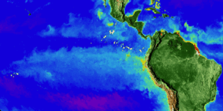 1978年，一台名为“海岸带水色扫描仪”（Coastal Zone Color Scanner，CZCS）的仪器使科学家首次能对水色进行观测。上图是东赤道太平洋海域在1998年厄尔尼诺—拉尼娜时期的水色变化。