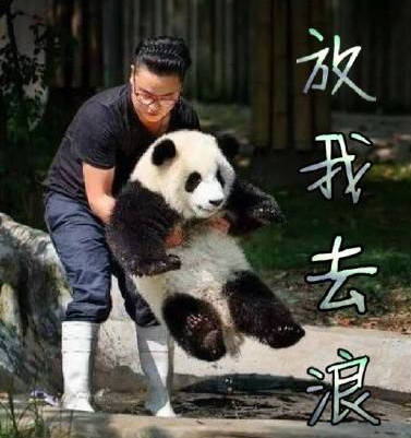 新浪科技招聘:来这浪不后悔!仙女小哥在新浪等你哟