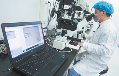 在中科院神经科学研究所非人灵长类平台实验室，刘真博士借助显微设备对卵母细胞进行“去核”操作。新华社记者 金立旺摄