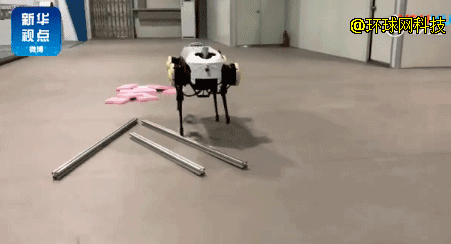 浙大发布四足机器人“绝影”踩钢管走雪地被踢不倒