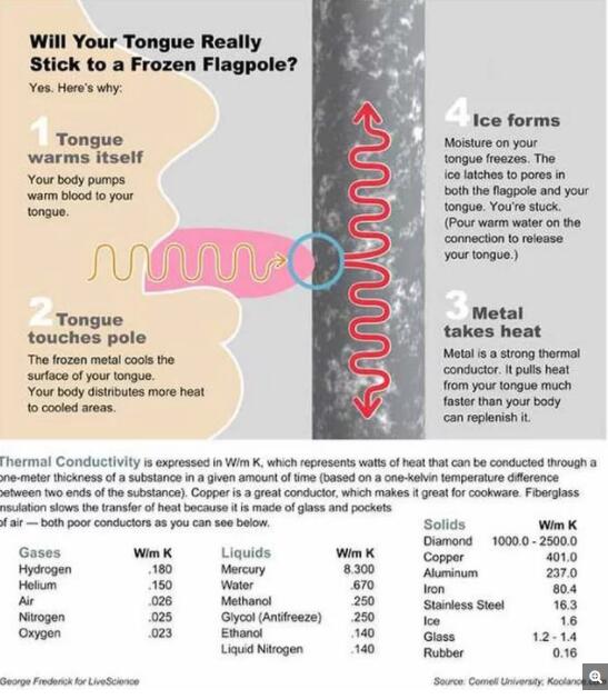 舌头是温暖的，当它接触到冰冷的金属杆时，热量会被立刻吸走，而舌头上的湿气会立刻冻结成冰，将舌头与金属杆“黏”在一起。