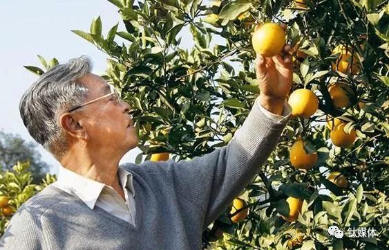 90岁褚时健告诫创业者:年轻人不要太心急