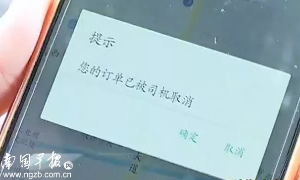 南宁 滴滴打驴 被紧急叫停了,涉嫌非法营运!|滴