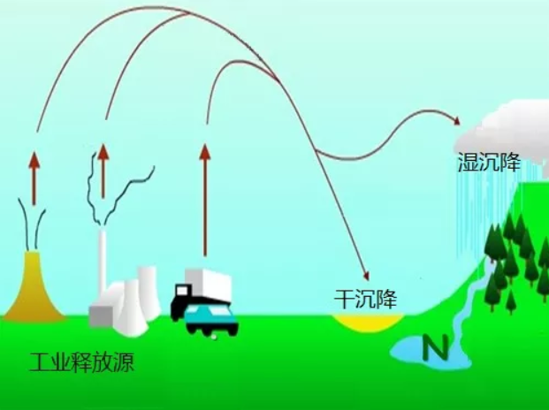 工农业生产释放的氮素通过干湿沉降到生态系统