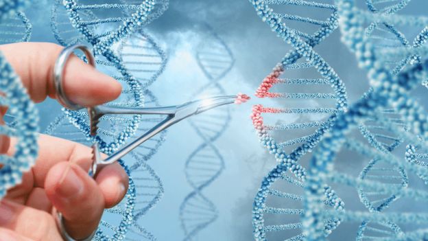 有些身体黑客已经准备好更进一步,想改变自身DNA。