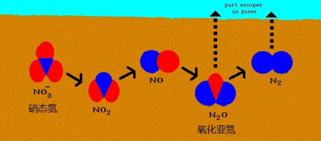 反硝化过程释放氧化亚氮气体和氮气