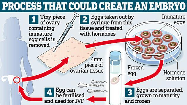 英国科学家研发的一项新技术或能帮助存在生育问题的女性成功受孕。