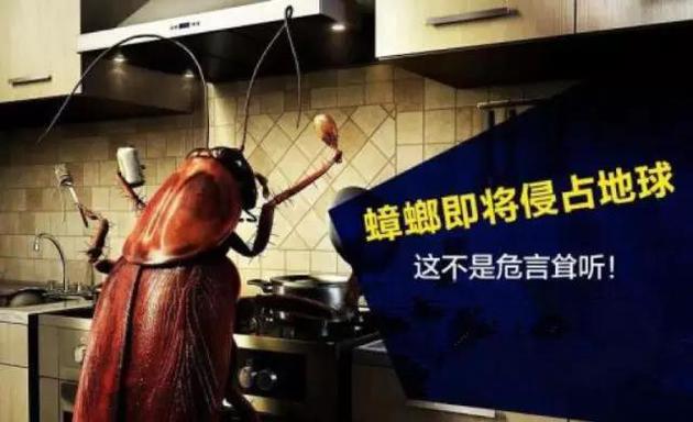 大理石纹螯虾:动物世界里的“女儿国”:娃它爹?不需要!