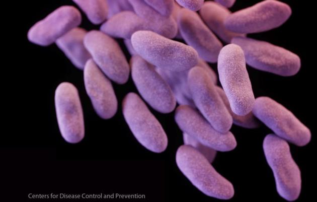 超级细菌爆发?发现可对抗多种抗生素的新型致命细菌