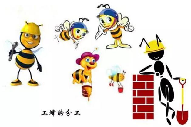 大理石纹螯虾:动物世界里的“女儿国”:娃它爹?不需要!