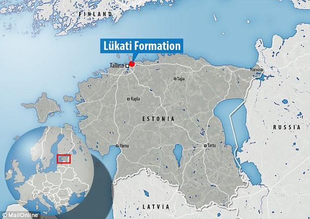 这件三叶虫化石发现于爱沙尼亚北部的Lükati组地层，可以追溯到寒武纪。