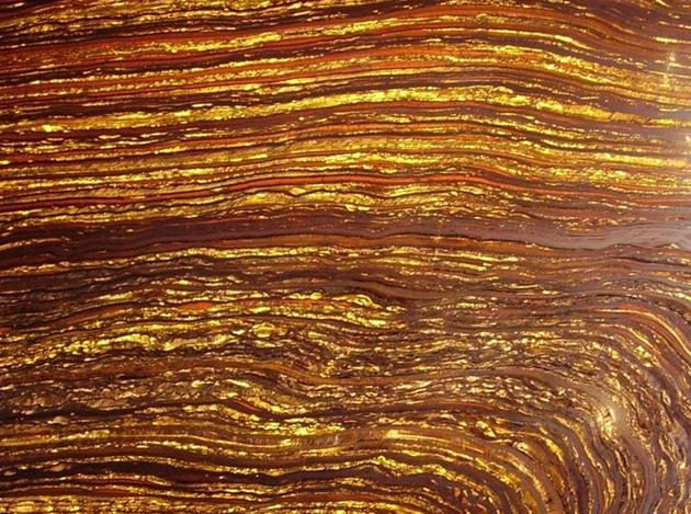 图中是澳大利亚西部黑德兰港附近发现的“虎纹铁(Tiger iron)”，像这样的条纹状铁结构形成于海水溶解铁与自由氧的反应过程，是地球上最早光合作用生命形式新陈代谢的副产物。