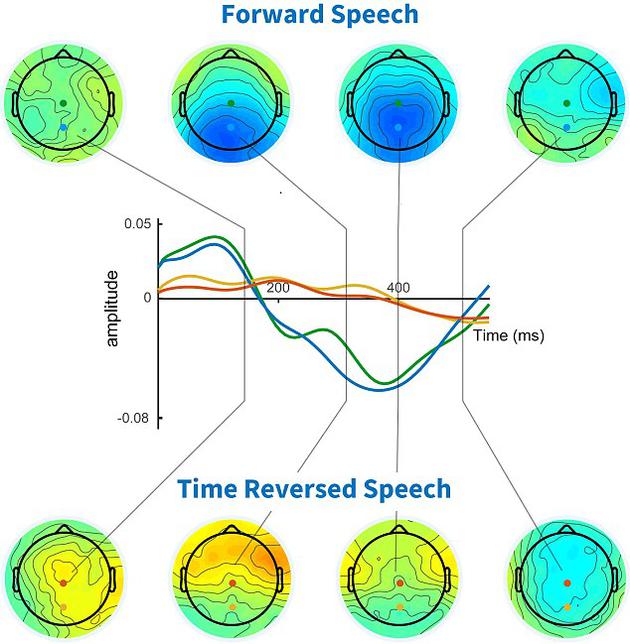 当聆听者理解语音时，可以看到他们头部的中后部会出现一个很强的反应信号（上排，呈蓝色和绿色）。当他们无法理解语音时，信号就会完全消失（下排，变为红色和黄色）。