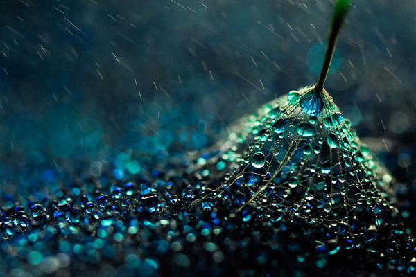 江苏体育频道节目表-乐鱼app(leyu)官方网站-乐鱼官网