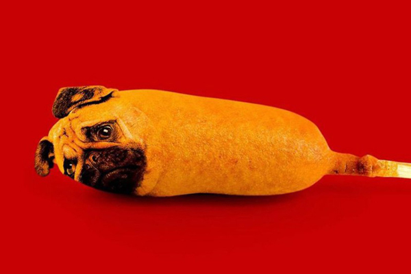 黝黑蜗壳-乐鱼app(leyu)官方网站-乐鱼官网