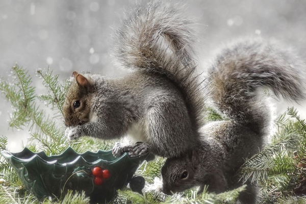 足总杯重赛-爱游戏app（中国）官方网站下载_ayx体育app下载