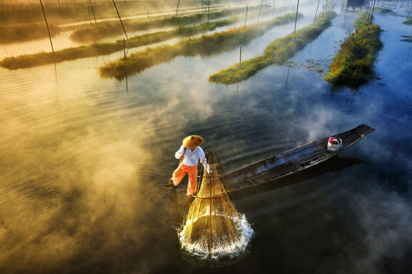 弗格森宣布退休