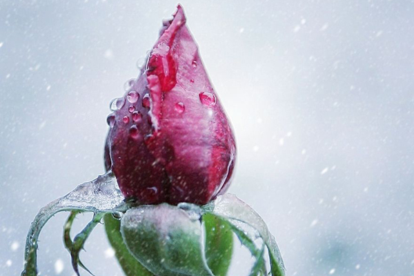 阿拉巴-乐鱼app(leyu)官方网站-乐鱼官网