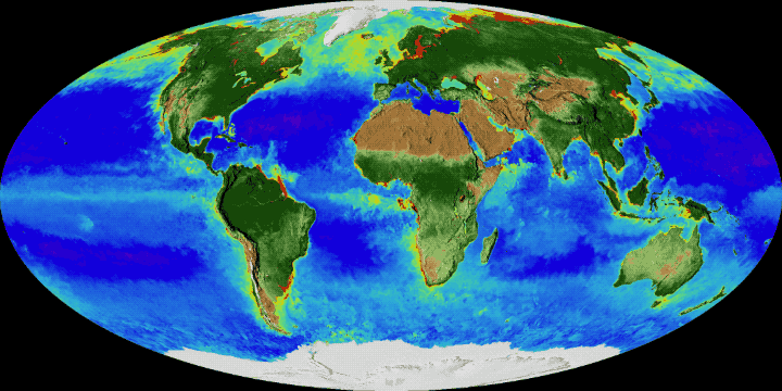 这张可视化图像显示了20年的观测结果，可以追溯到1997年。陆地植被覆盖率颜色变化从棕色（低）到绿色（高）；海洋表面的浮游植物则是从紫色（低）到黄色（高）。