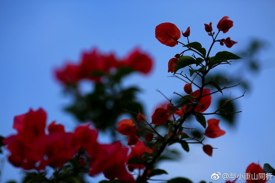 万宁那个村的人口最多_...多名医护人员到万宁市南桥镇高龙村义诊送药(3)
