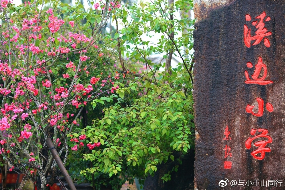 万宁那个村的人口最多_...多名医护人员到万宁市南桥镇高龙村义诊送药(3)