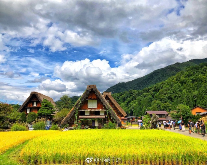 白川人口_北白川玉子