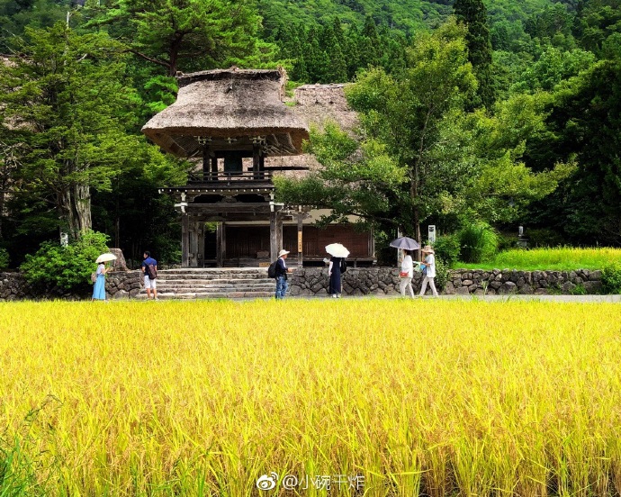 白川人口_北白川玉子