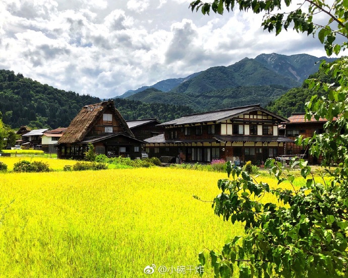 白川人口_北白川玉子