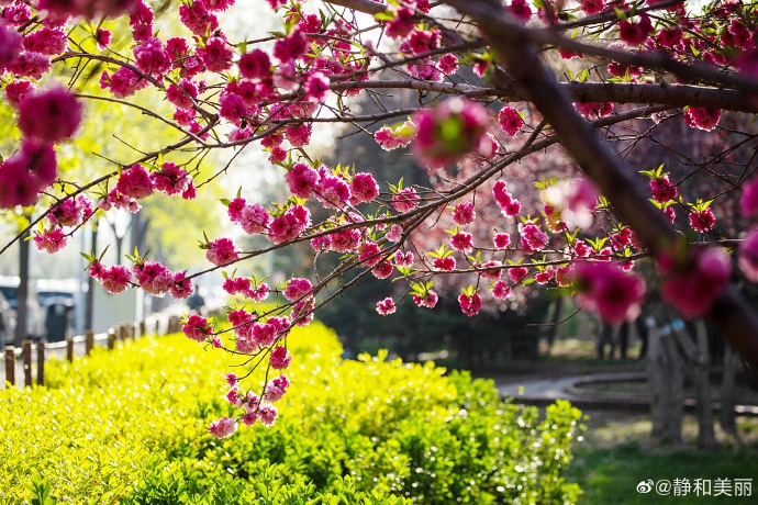 風光旖旎的南翠屏公園！