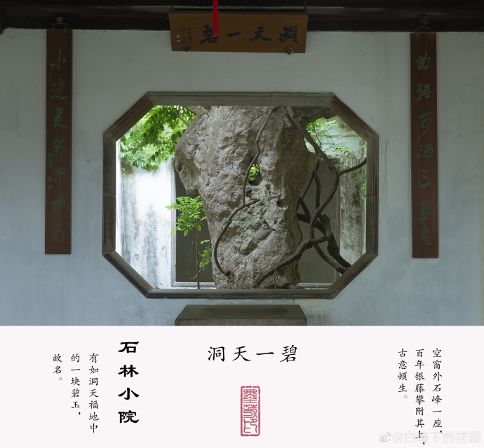 【留园之石林小院】_高清图集_新浪网