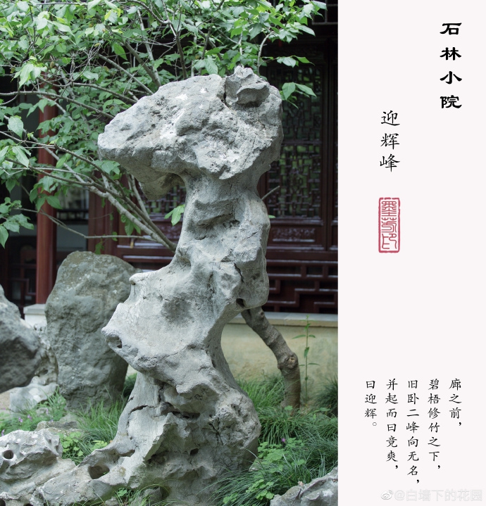 【留园之石林小院】