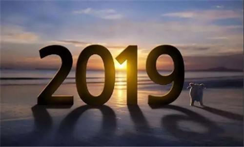 2019款福特150猛禽加版皮卡促销 可分期