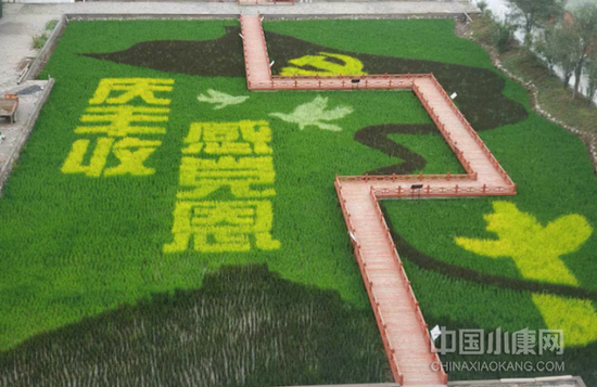 2021年天津市“中国农民丰收节”主会场稻田字