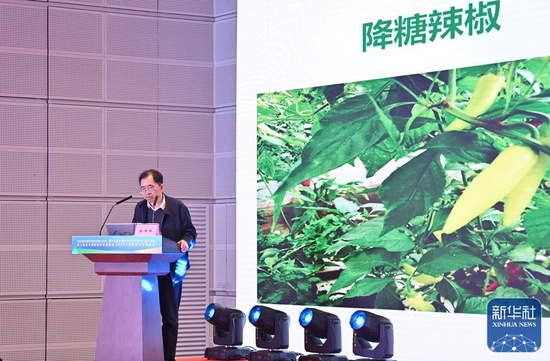 ↑中国工程院院士邹学校在蔬菜种业论坛上作《中国辣椒种业发展与展望》的报告（3月18日摄）。
