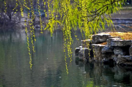 [转载]【原创】读诗人九歌《七绝.春柔（孤雁出群格）》题照