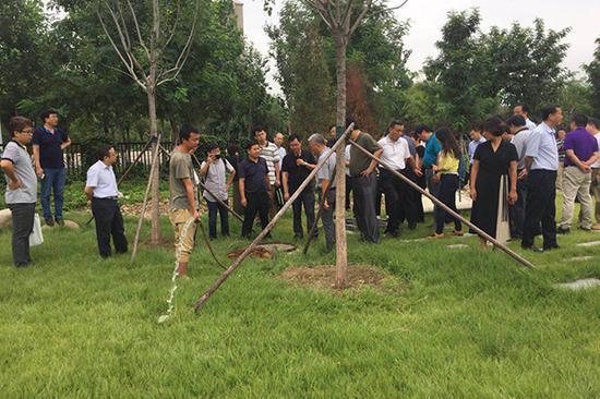 第二新华中学海绵城市建设现场