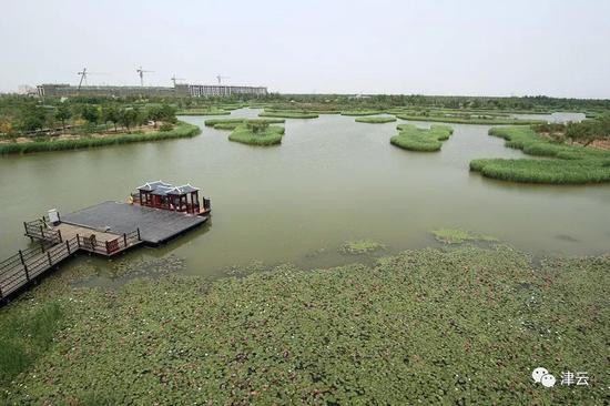 光合谷湿地