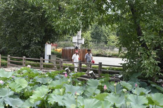 桃花寺村景色（央广网发 蓟州区供图）