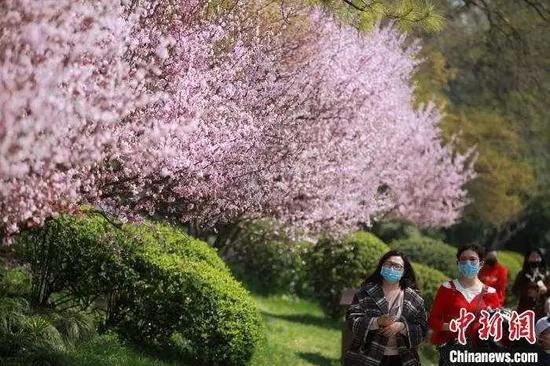 资料图:市民“带着口罩”赏春光。 孟德龙 摄