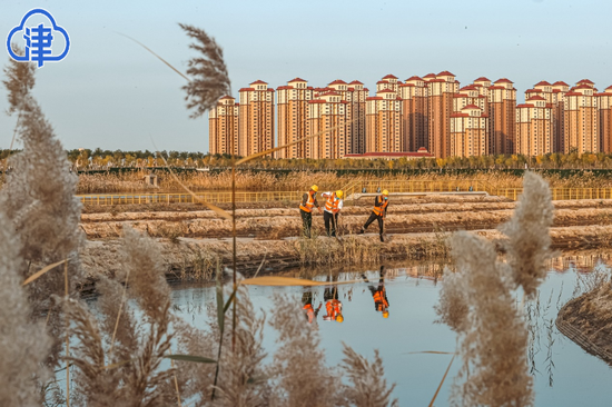 华北地区规模最大尾水人工湿地年底完工 日处理能力20万吨