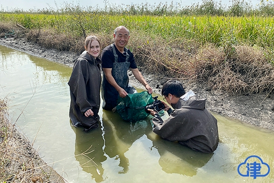 来自乌克兰的卜爱琳在宁河体验捉螃蟹