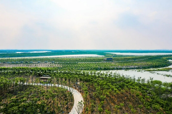 绿屏·八里湾，拍摄于2020年9月