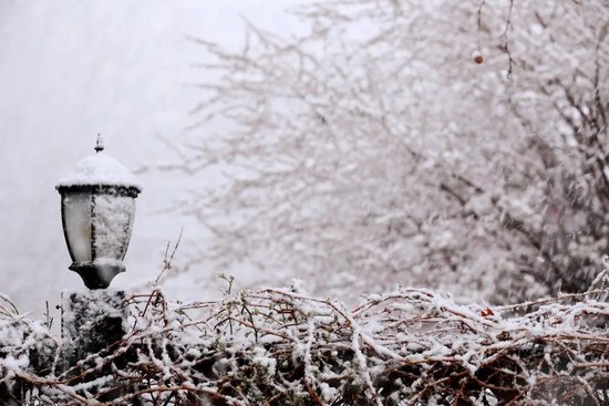 事关周一早高峰！雪后如何保障出行？天津最新部署→