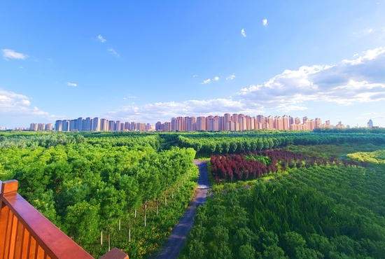 天津津南区绿色生态屏障