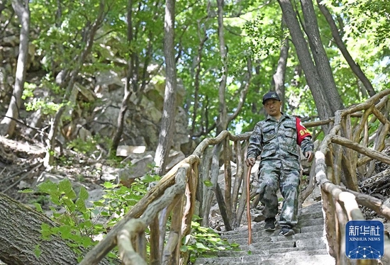 6月2日，朱金保在八仙山国家级自然保护区内巡查。