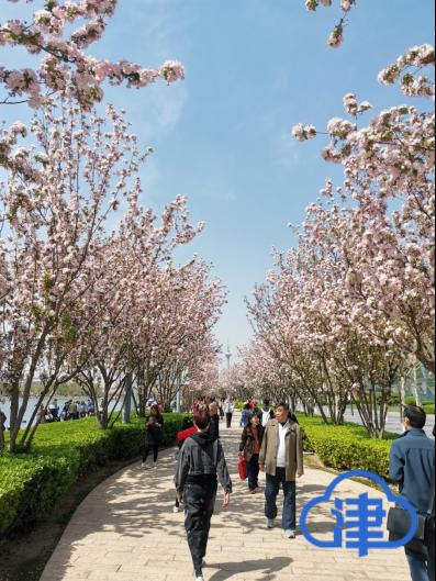 (文化中心广场,众多市民来此休闲)