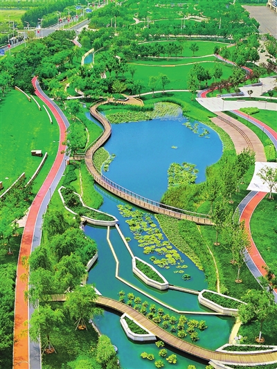 中新天津生态城打造的城市绿道环线。 记者 王涛 摄