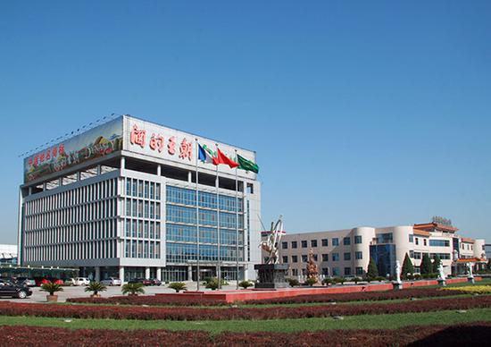 王朝公司全景