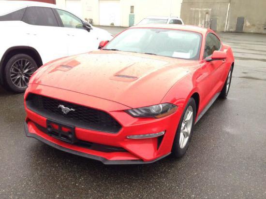 福特野马Mustang不少年轻人的梦想车型